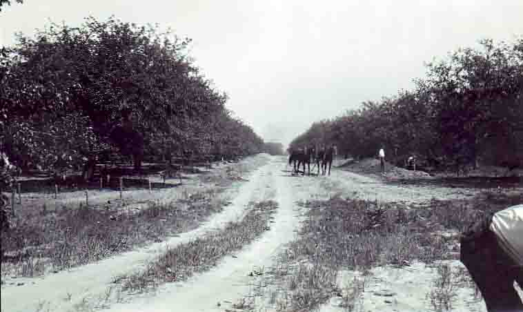 Allens Creek Plant 1920s (20)